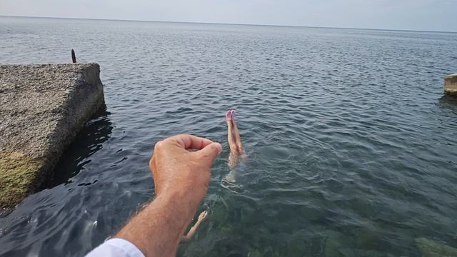 Крым25.Только позитив.прикалюхи.