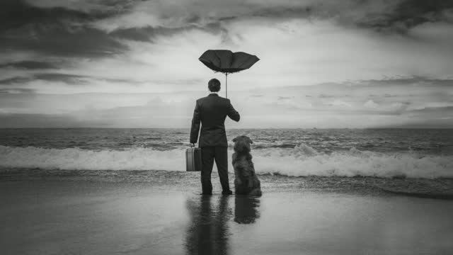 Итоги фотоконкурса Dog Photography Awards 2023