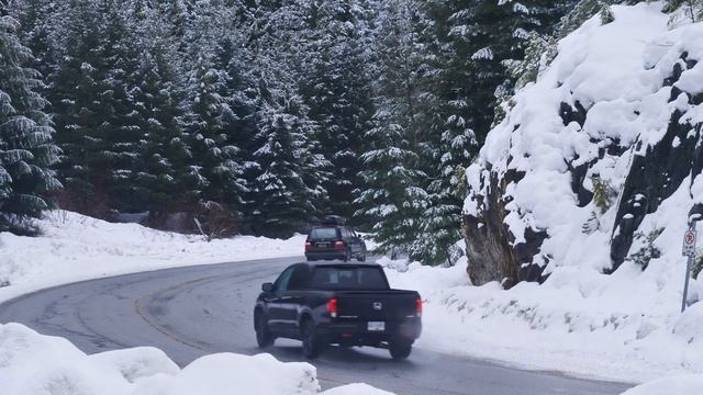 Поворот на заснеженной лесной дороге