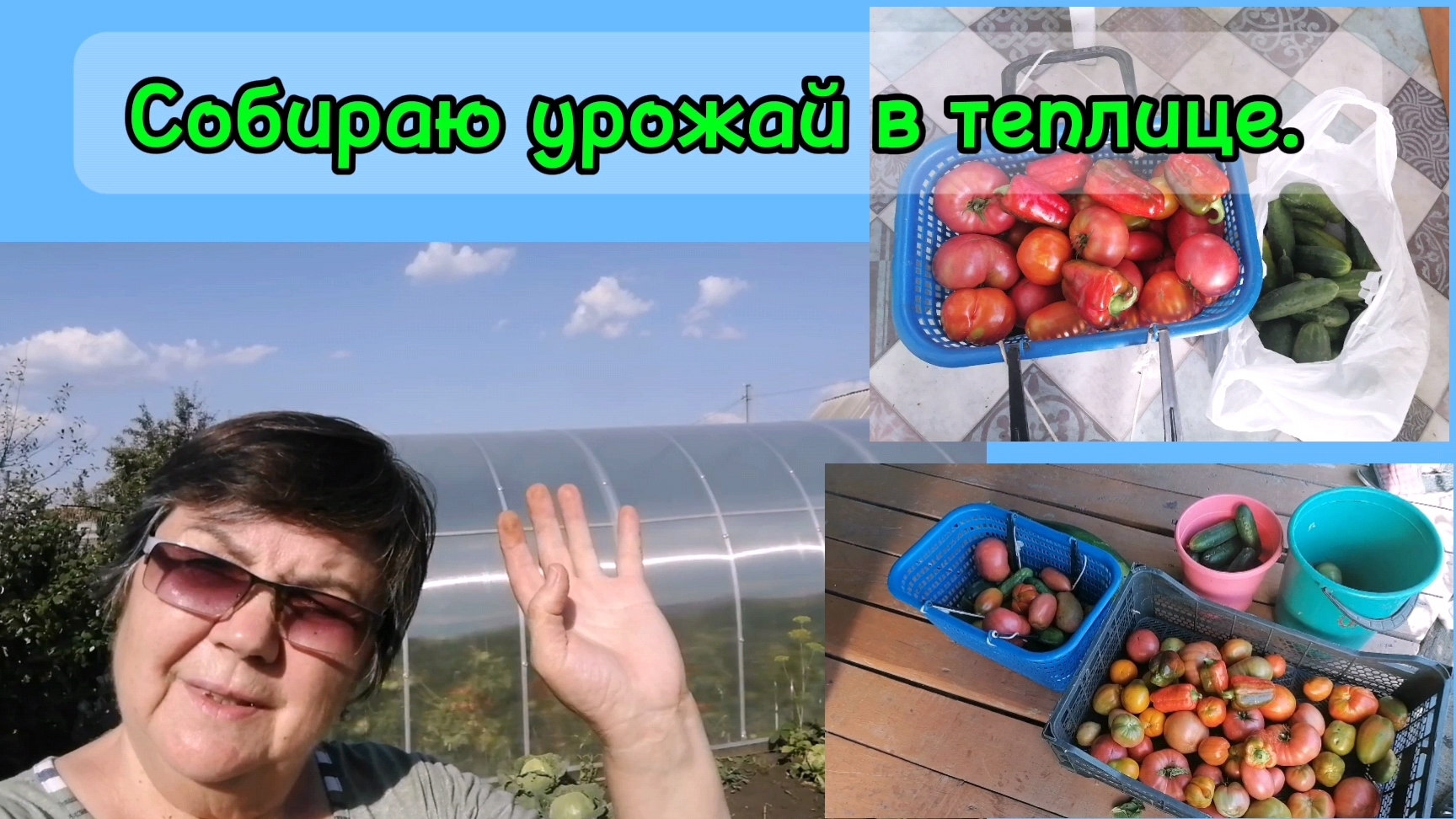 Наш сад, теплица оправдала себя . Урожай хороший.