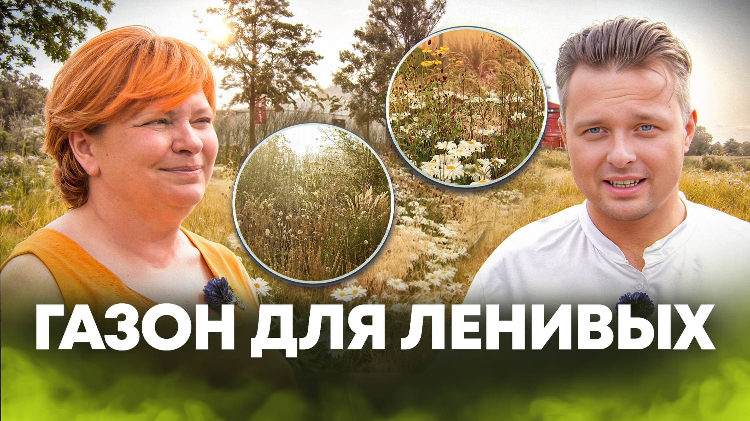 Луговой газон изменит ваш сад! Уникальные советы от ландшафтного дизайнера!