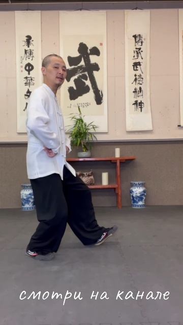 Немного наглядности. Основа Тайцзицюань Стойка лука и Пустая стойка в исполнении ЦзяньФэн Чен