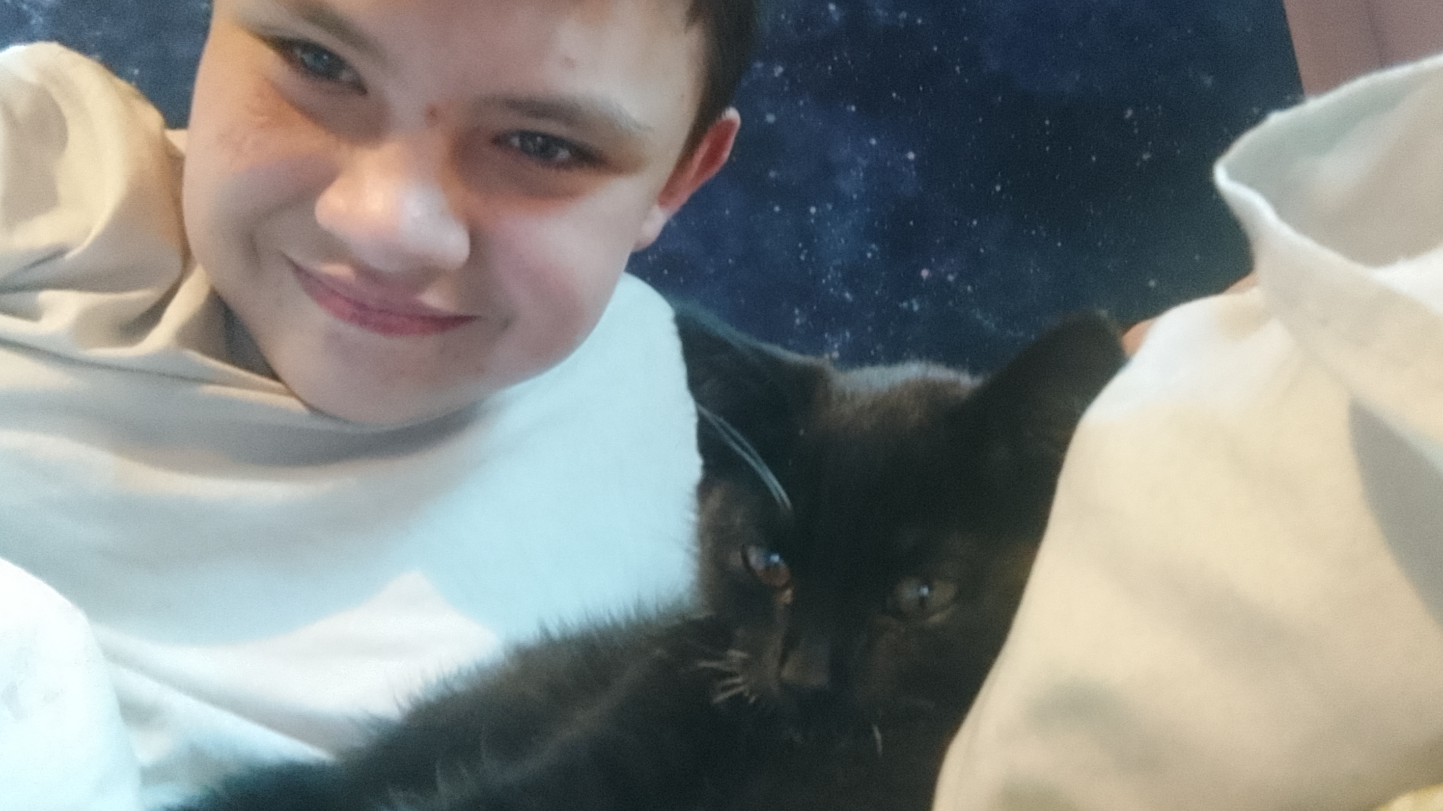 Я играю с эльзой со своей новой кошкой