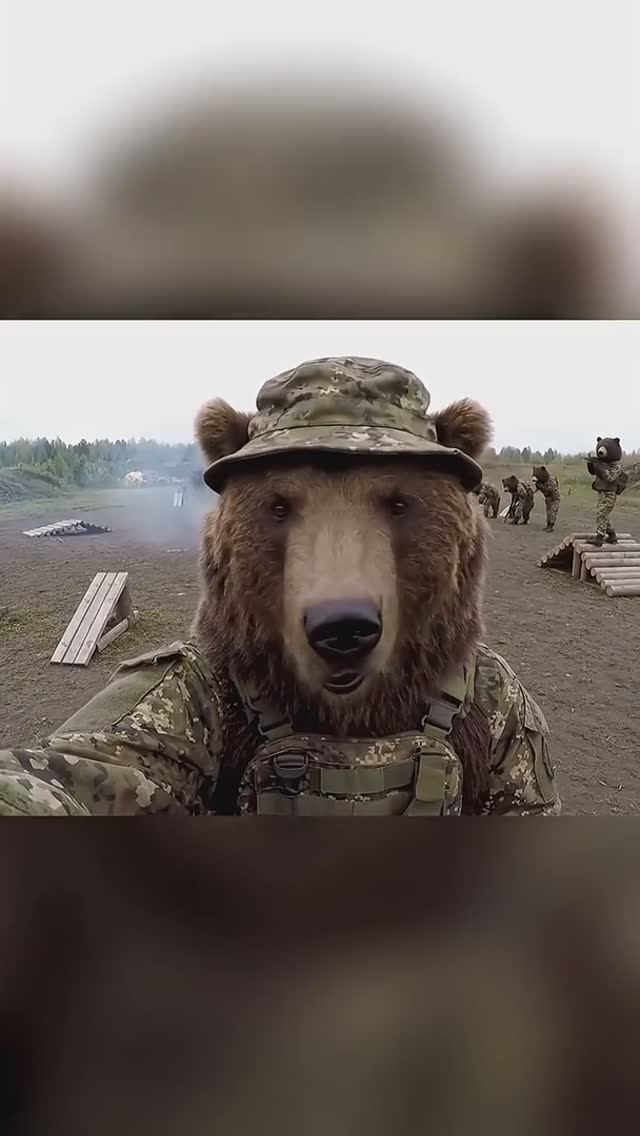 🔴Михалыч и Потапыч в штурмах🙂🔴