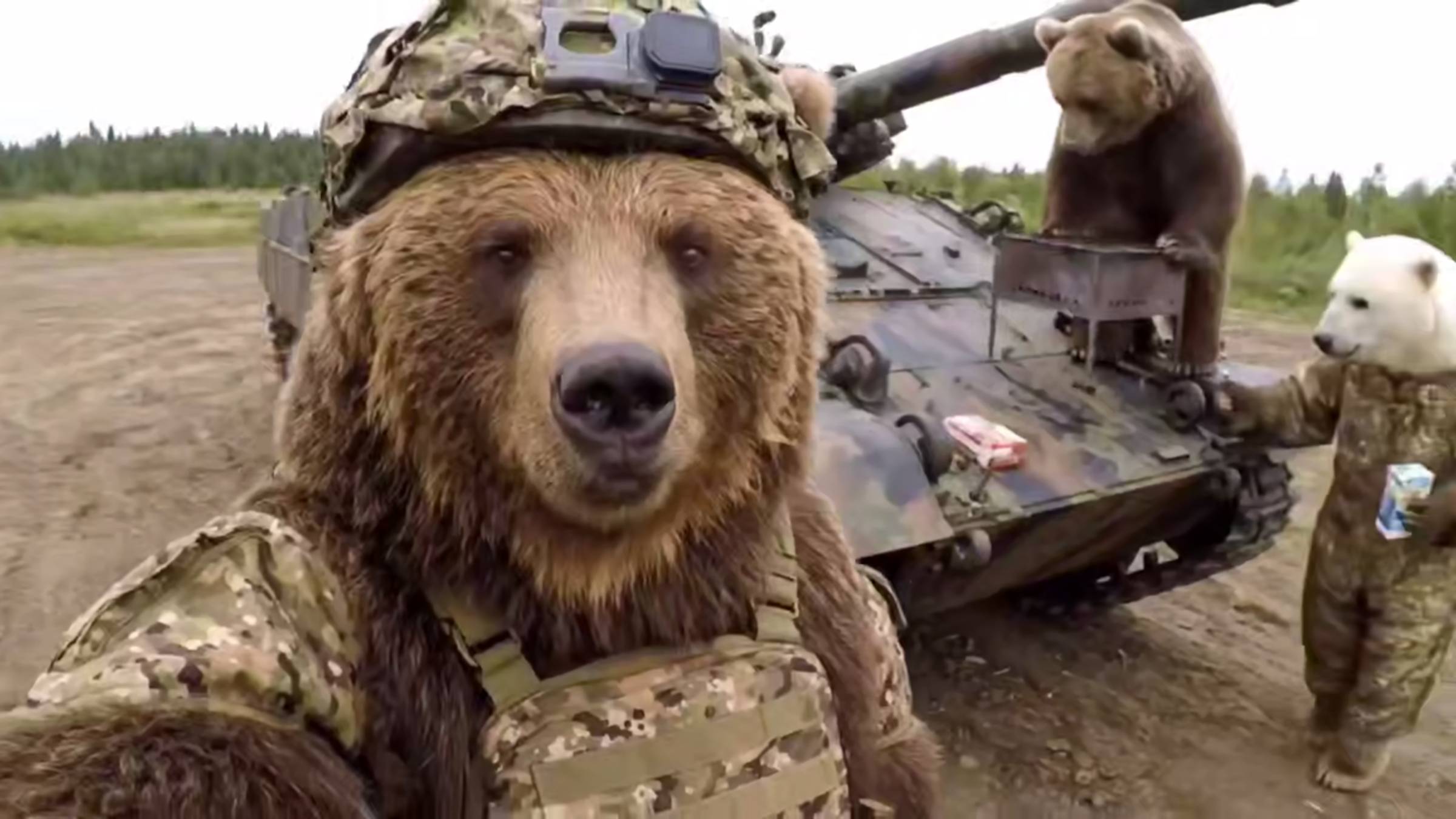 🔴Наши бурые друзья обустраиваются...😂👍🔴