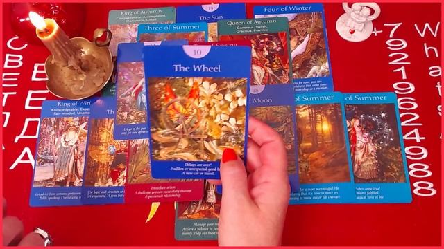 Быстрый вызов мужчины #онлайн #таро #психология Светлана ВЕДА