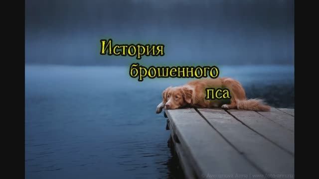 #Батуми ПО РЕАЛЬНЫМ СОБЫТИЯМ #новая_авторская_песня 1000053726.mp4