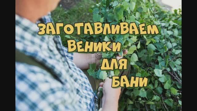 СИБИРЬ: ГОТОВЬ САНИ ЛЕТОМ #деревенскийблогер  1000053500.mp4
