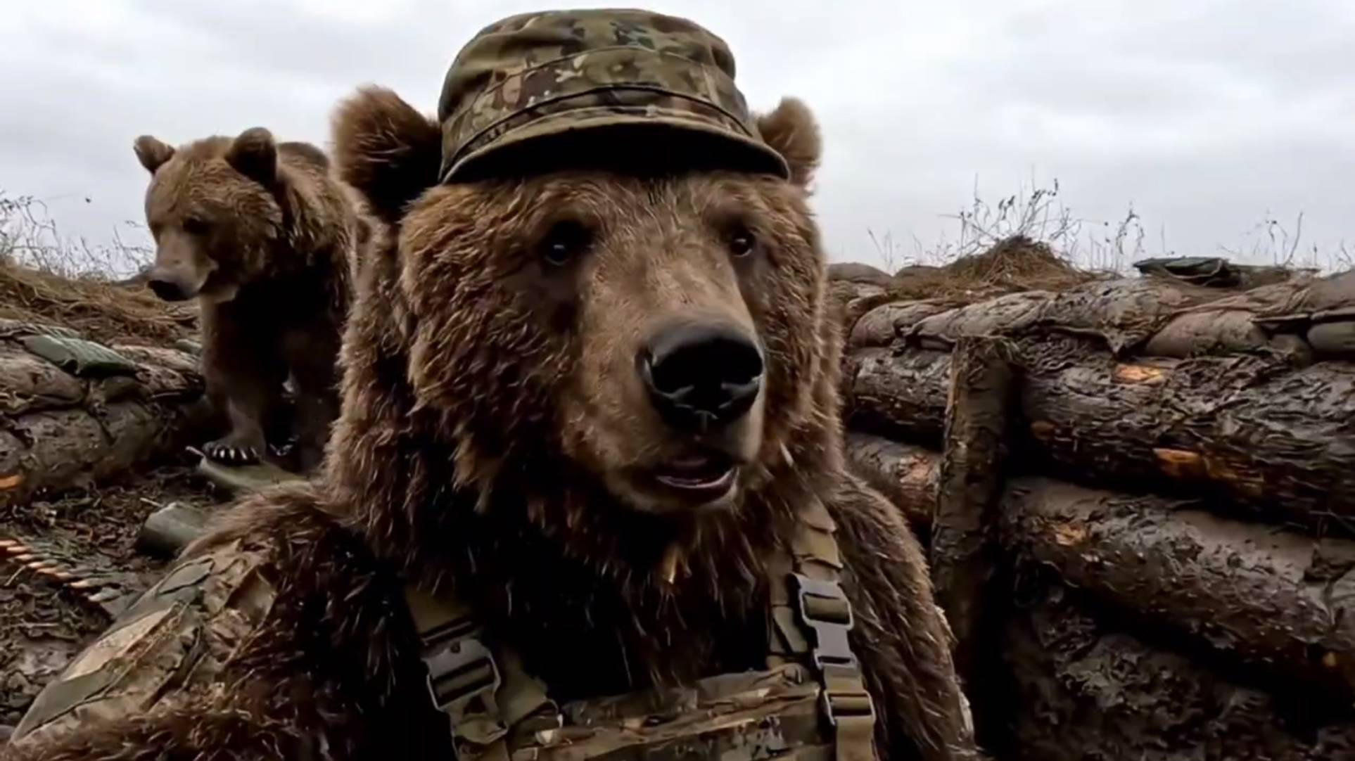 🔴Михалыч и Потапыч в «БПЛА»🔴😂👍