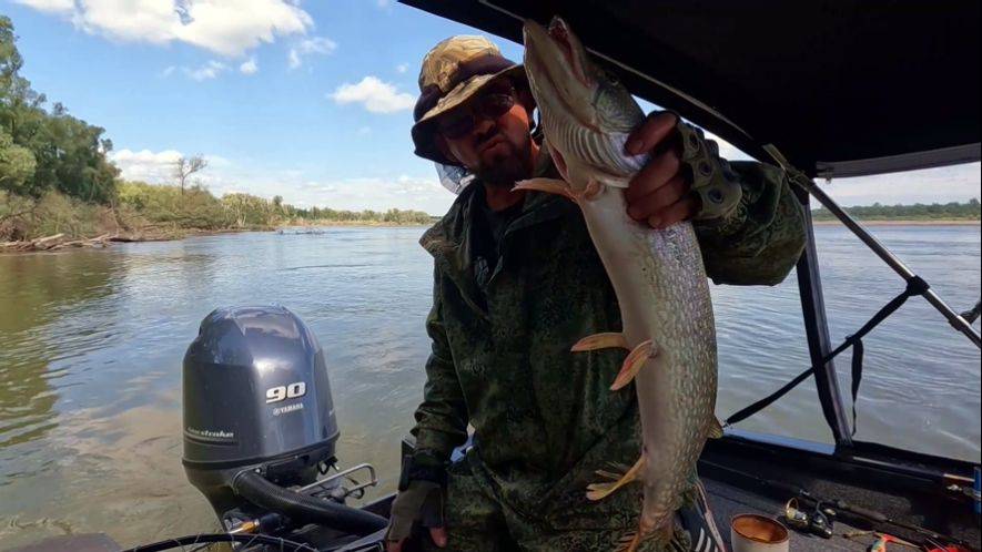 НЕ РЫБАЛКА, А МЕЧТА !!! Обь 28 июля 2025г.