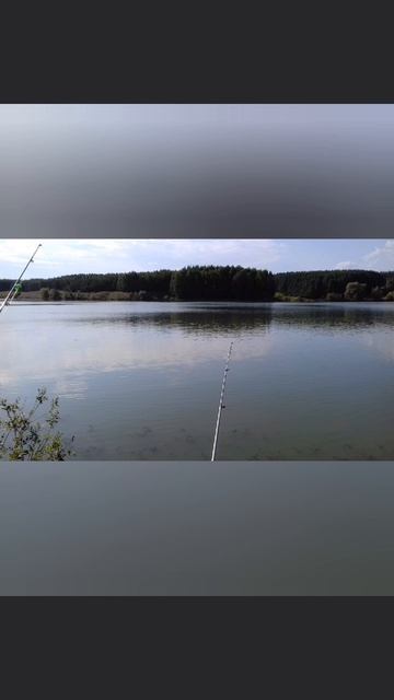 Отпуск, 2-ой День👍 Порыбачил на Пруду на донные снасти и поплавок🎣