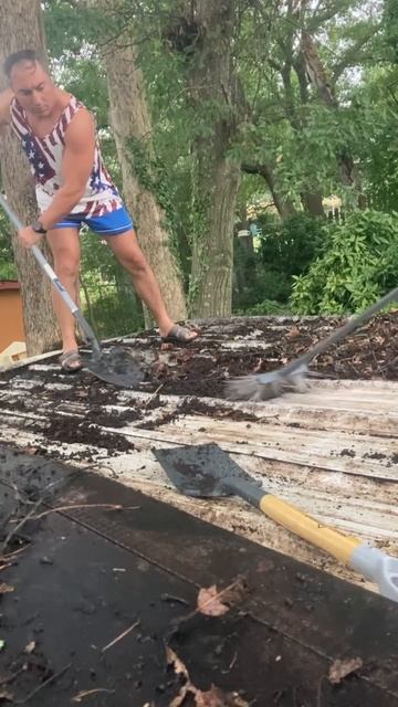 Cleaning Our Shed Roof 🧹 | What’s Hiding Up There?!