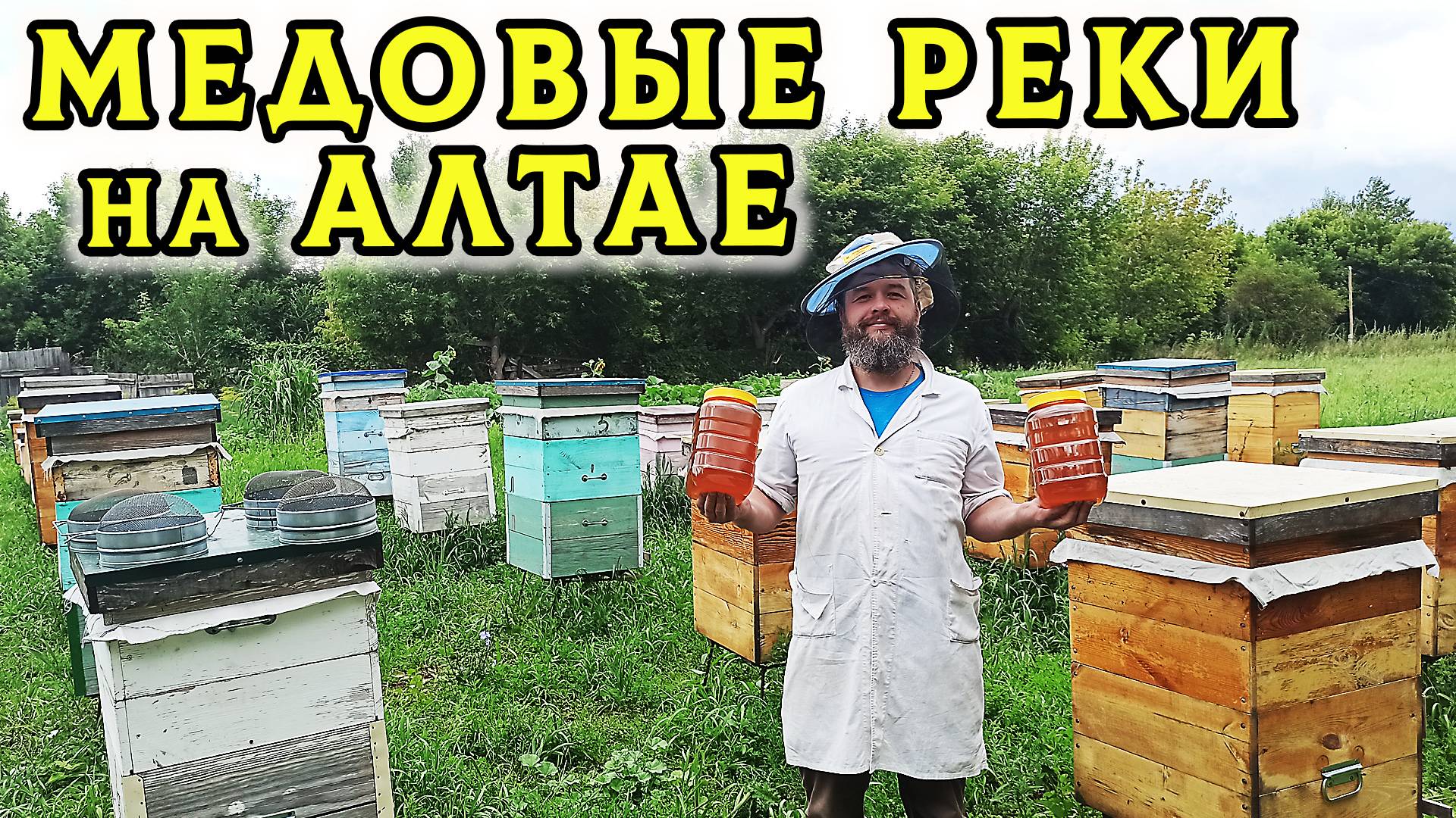 🔥Свежий мёд течёт РЕКОЙ! Полный цикл сбора мёда на Алтае — от улья до банки🍯