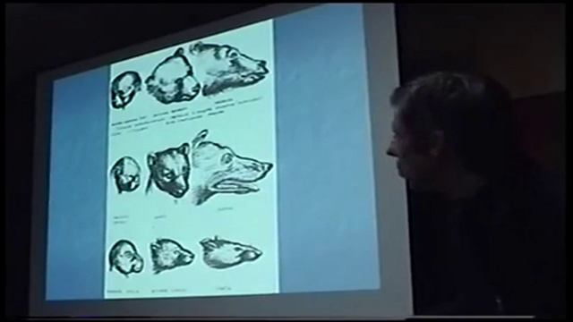 Переломный период в развитии человеческой культуры. Палеоантрополог Александр Белов