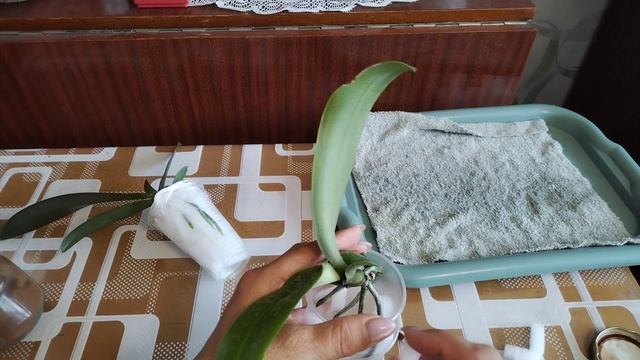 Собираю посылку Ольге 💞