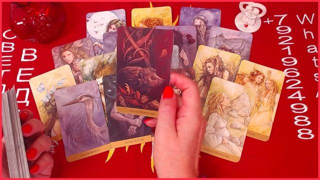 Новый мужчина на пороге #онлайн #таро #отношения Светлана ВЕДА