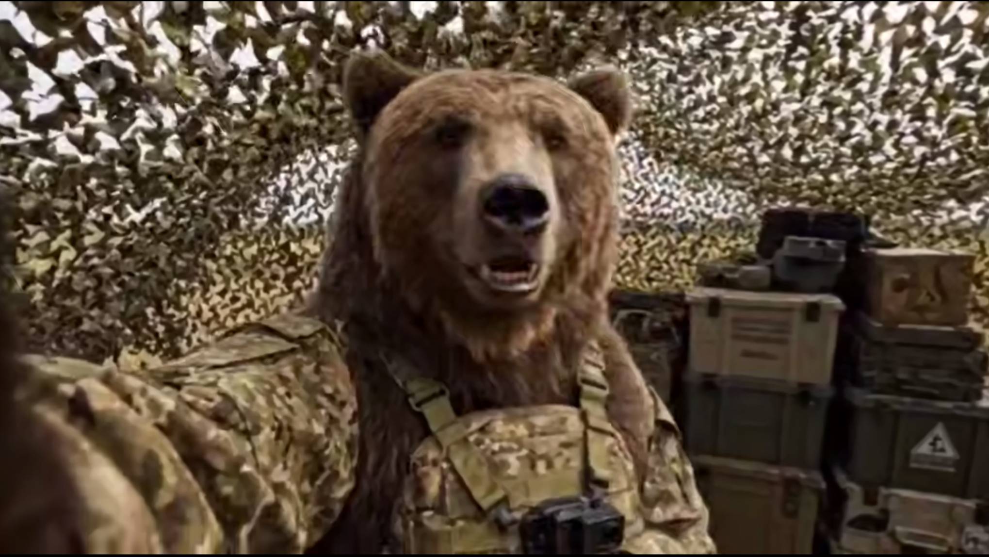 🔴Потапыч встретил гуманитарку🙂🔴