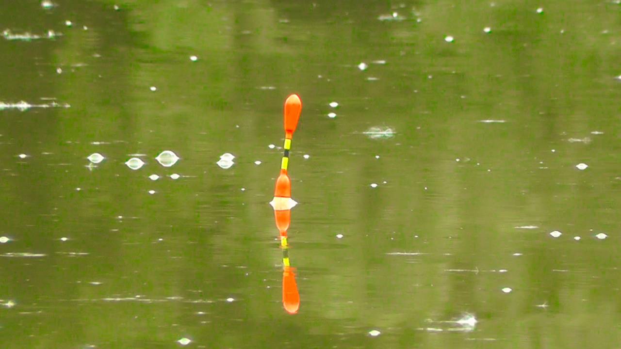 Ловля карпа на поплавок и фидер. Поклевки крупным планом!!!