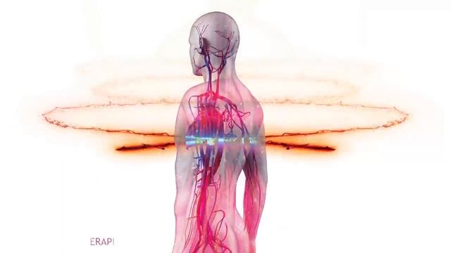 Альфа-волны исцеляют сердце и кровеносные сосуды • Ваше тело почувствует явные изменения