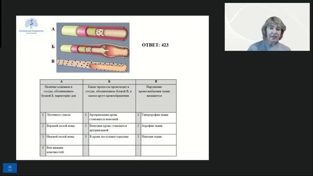 МК Медицинское теория-2