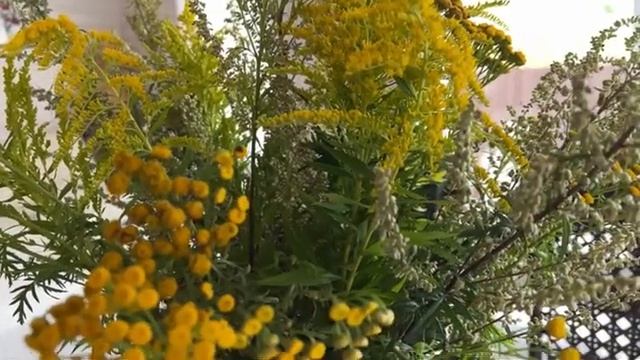 МОЙ МИР... ВИДЕО ОТ КСЕНИИ