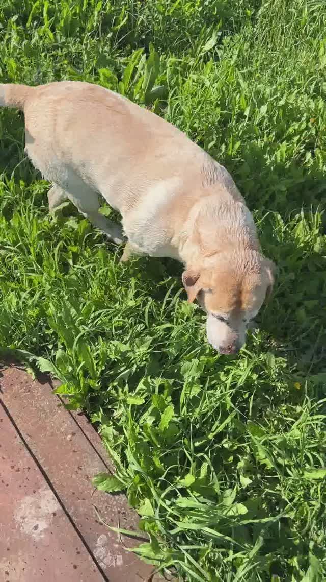 Уля anzl.ru и водоёмы.