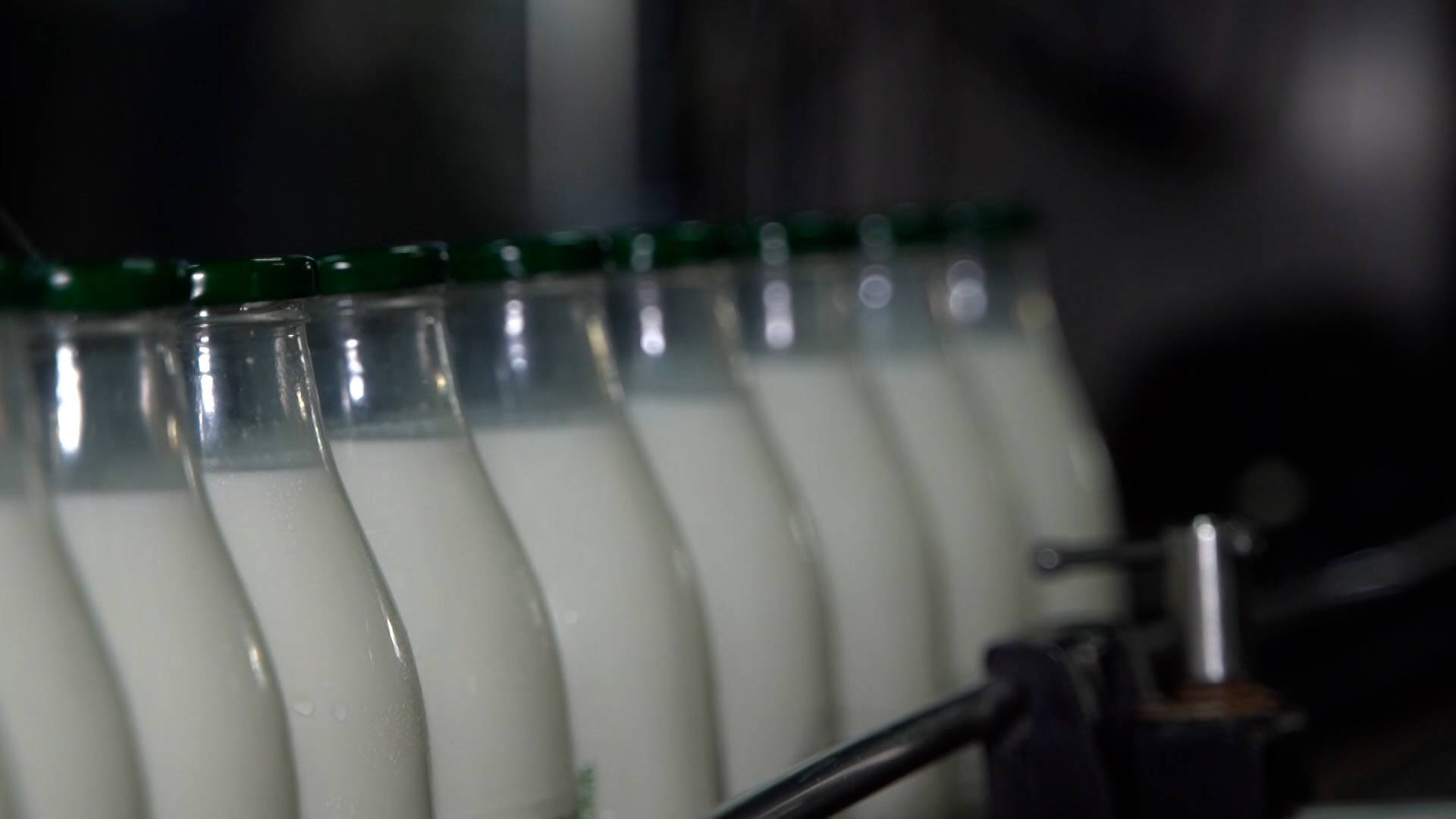 Мир сельского хозяйства. Альтернативное молоко 08.07.2025