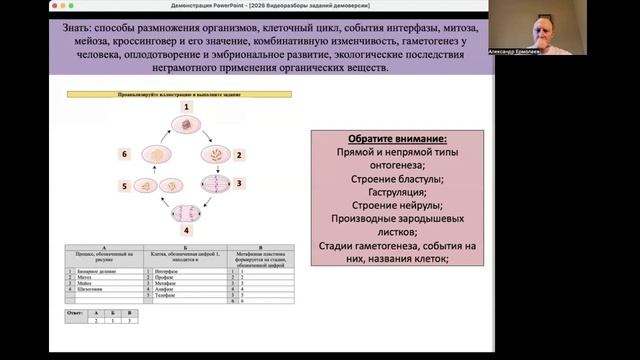 МК Медицинское теория-6