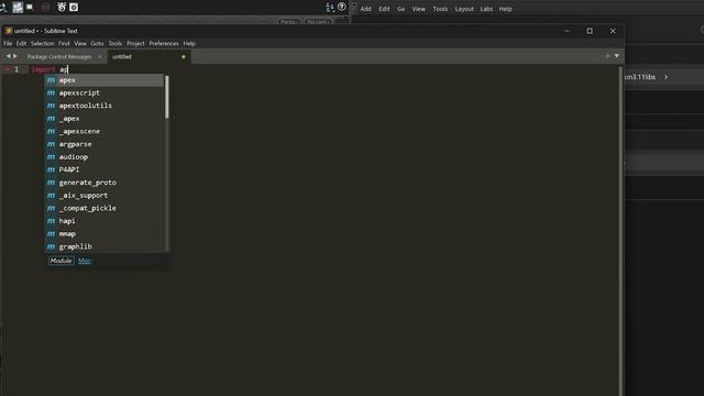 00 Effective APEX Scripting Dev Environment with Houdini, Sublime, and LSP