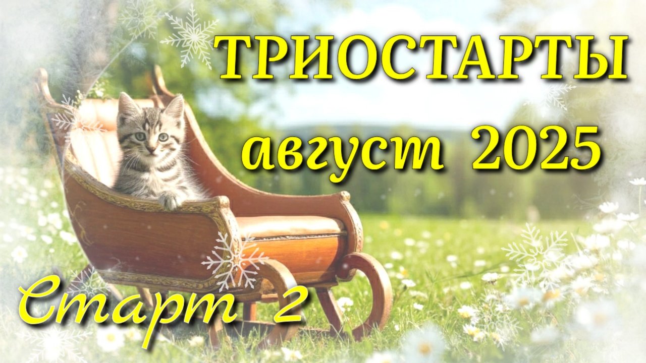 Начала очередной котошарф августовский. Старт 2 в СП Триостарты Августа