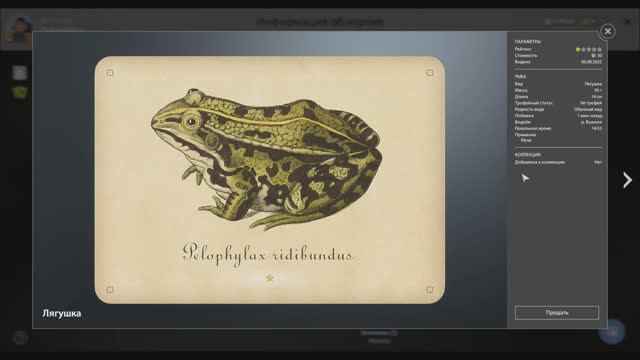 Улов с карточками в игре Русская рыбалка 4, нет коллекции, река Вьюнок, Лягушка