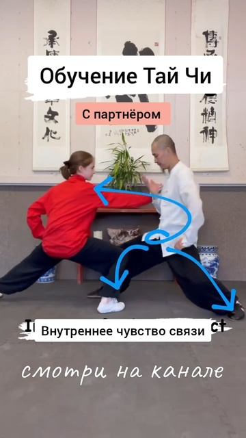 ЦзяньФэн Чен Тренировка туйшоу ян тайцзицюань