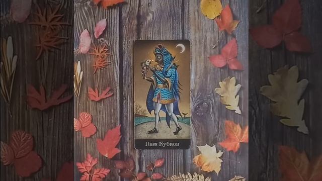 Для начинающих.Таро безумной луны.Карты двора.Паж Кубков