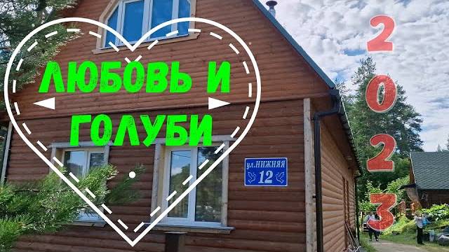 Любовь и голуби. Место съемок любимого фильма в 2023 году.