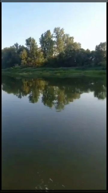 🎣 Любимое хобби! 👍 🤪