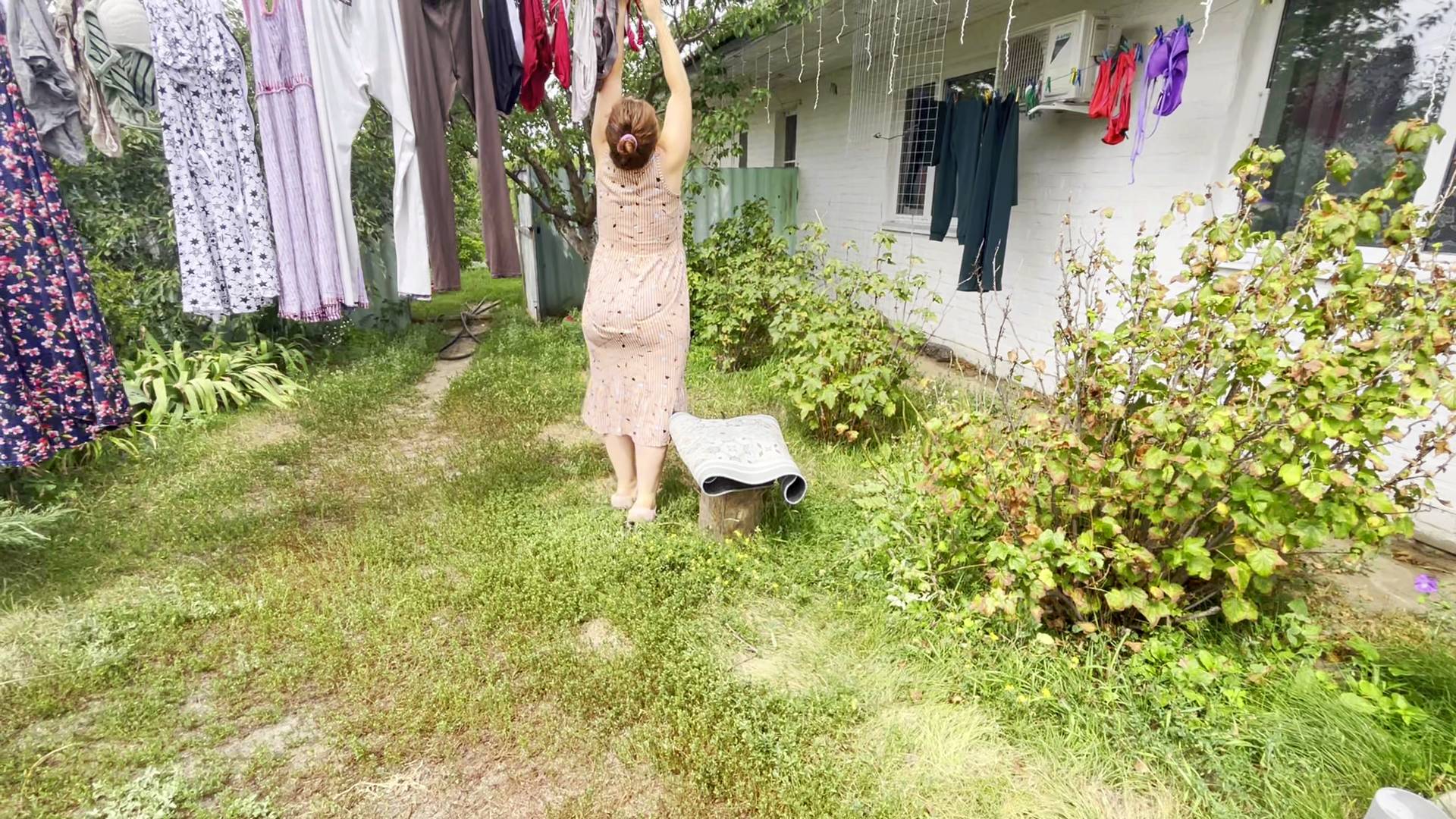 УТРО В ДЕРЕВНЕ. СУШУ ГРУШИ И ЯБЛОКИ. ОГОРОД ЗАРОС. РАБОТАЕМ НА КЛУБНИКЕ.