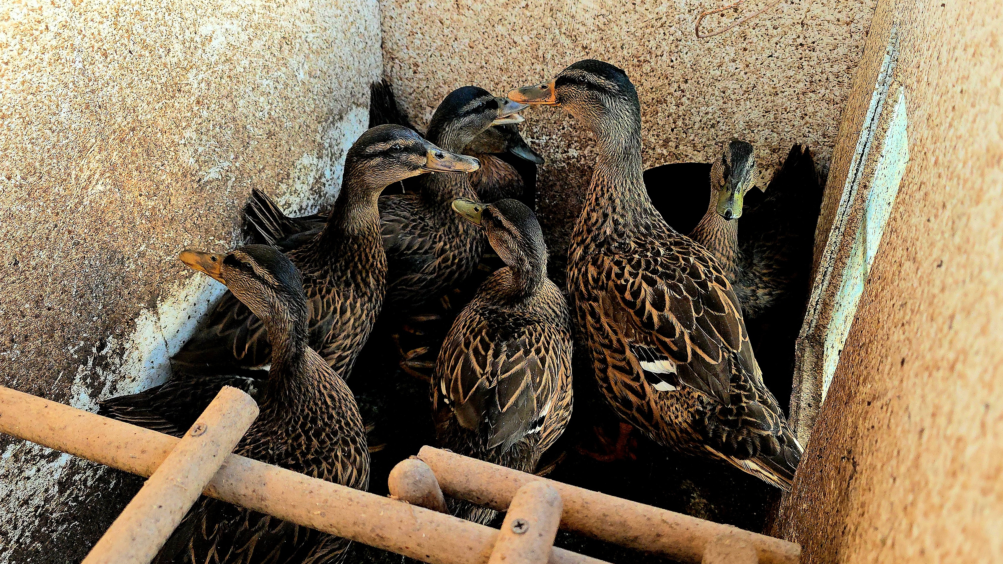 Перед работой