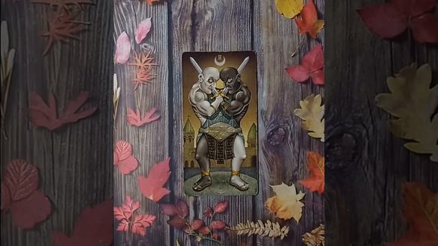 Для начинающих.Таро безумной луны.Двойка Мечей.