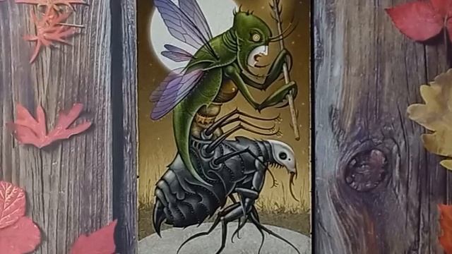 Для начинающих.Таро безумной луны.Карты двора.Рыцарь Жезлов