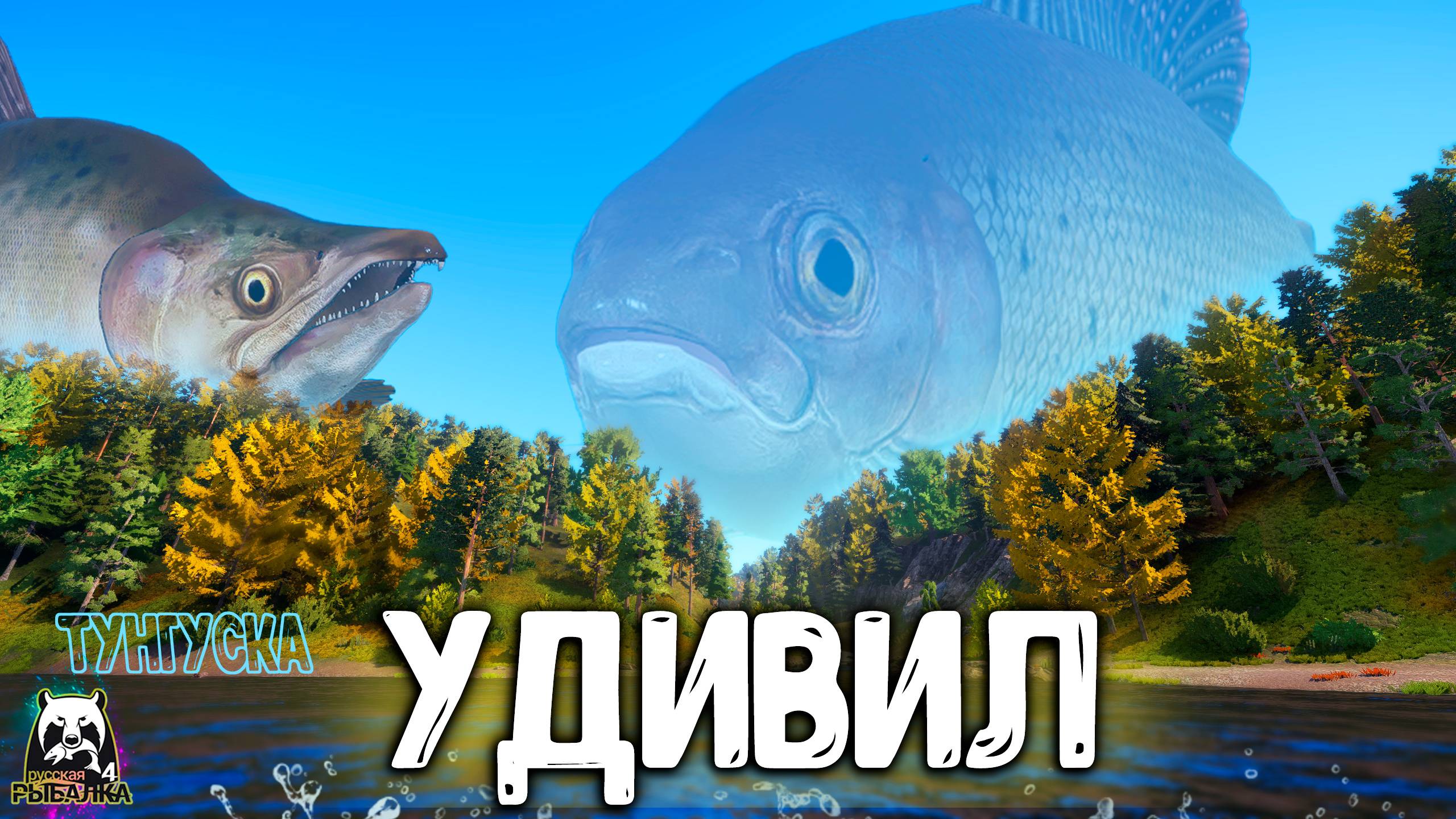 Rf4 удивили так удивили и рыбка просится на крючок #рр4