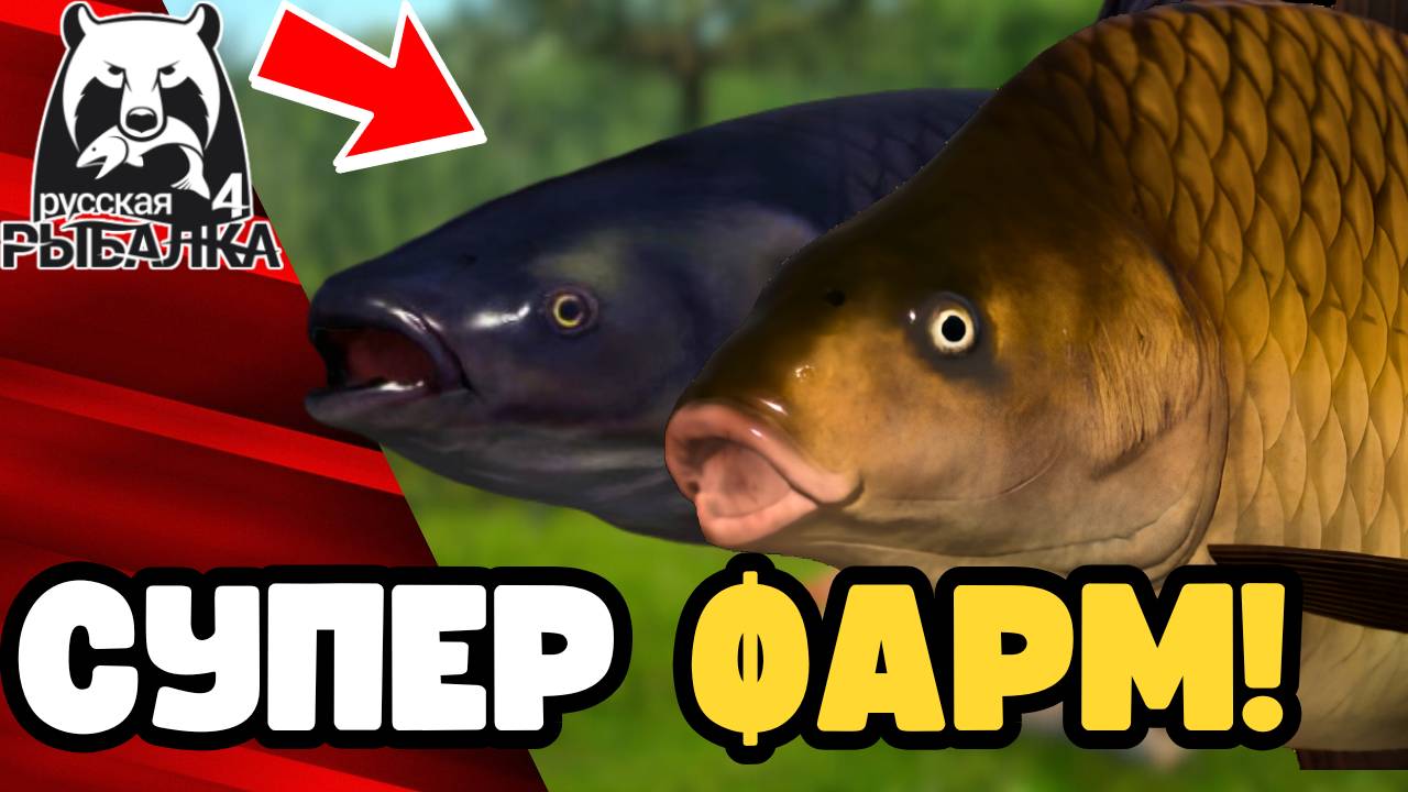 🤯 СУПЕР ФАРМ МЕДНОЕ РР4! Фарм Медвежье озеро