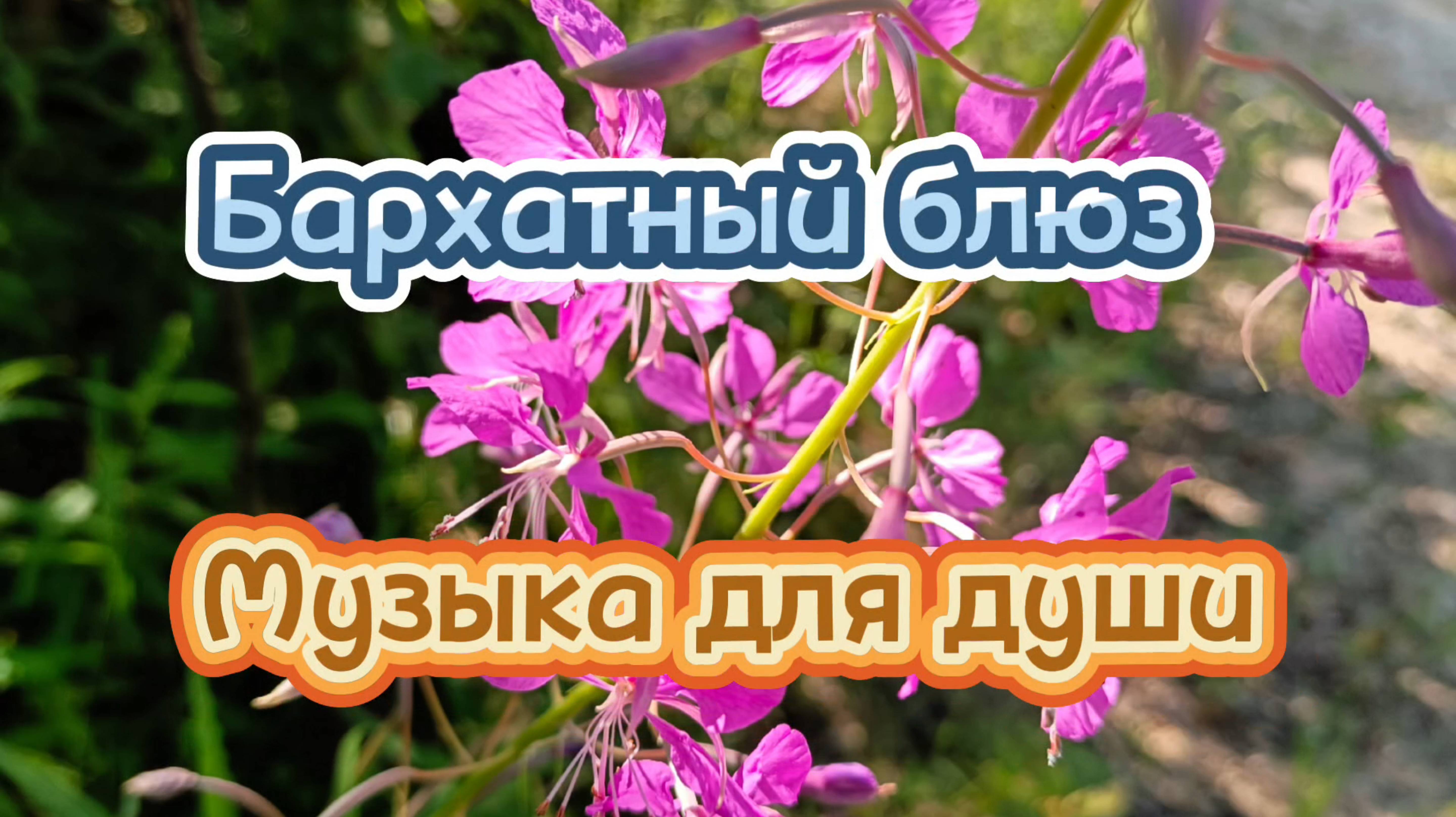 Музыка для души. Бархатный блюз.