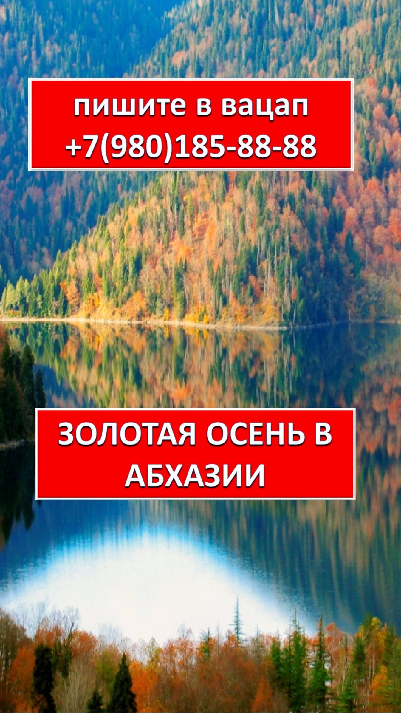 3ОЛОТАЯ ОСЕНЬ В АБХАЗИИ