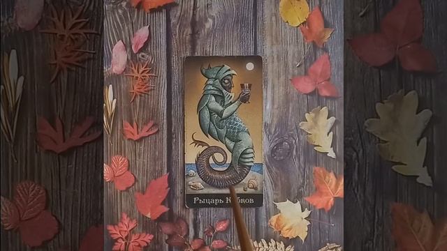 Для начинающих.Таро безумной луны.Карты двора.Рыцарь Кубков