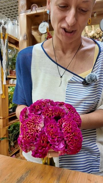 Мозги или петушиные гребни. Ваши ассоциации