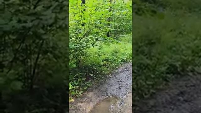 ИЗБА СТАЛА МОИМ ДОМОМ...видео от Наталии