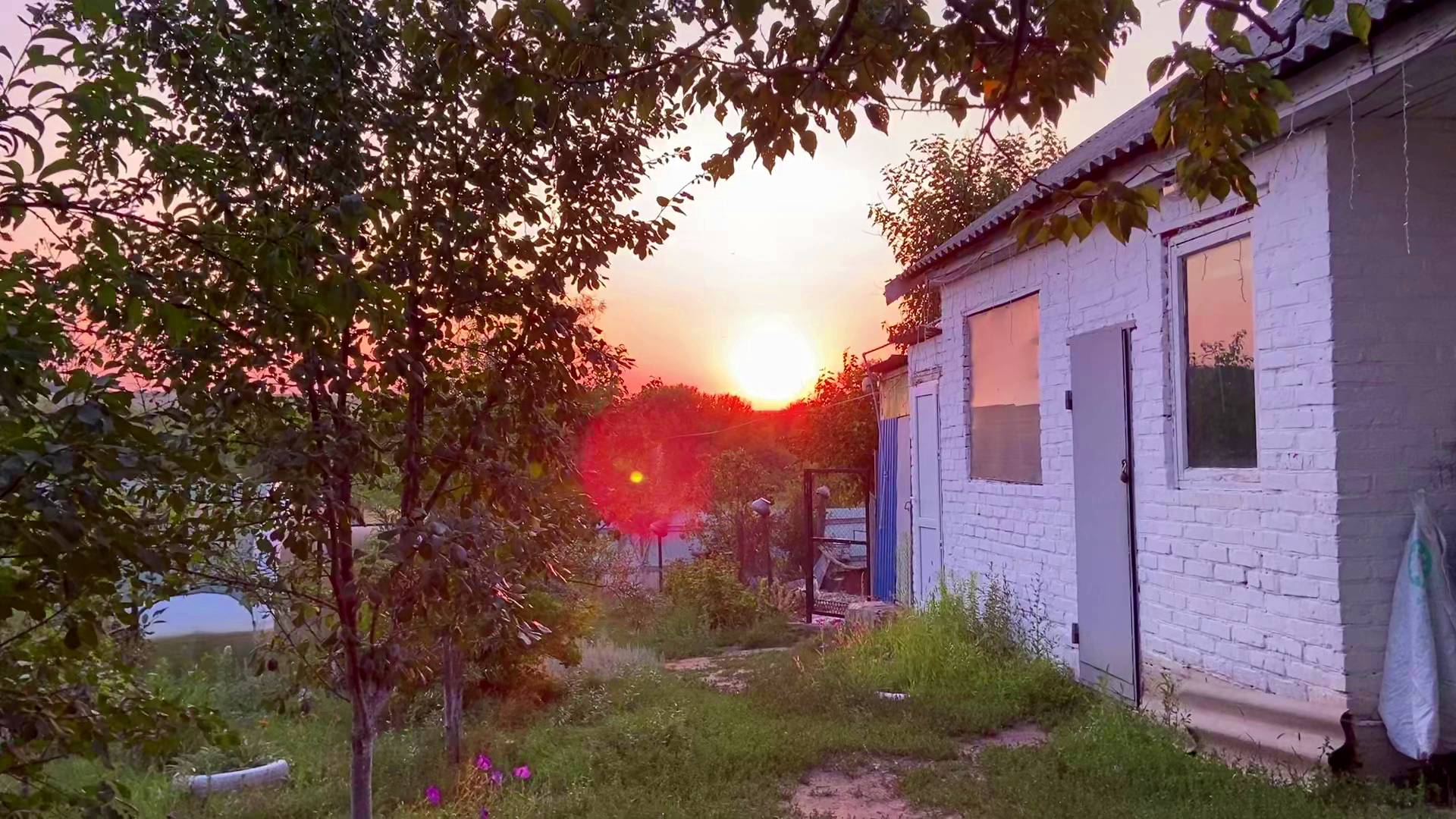 ВЕЧЕР В ДЕРЕВНЕ. ФЕРМЕНТИРОВАННЫЙ ИВАН ЧАЙ. БАССЕЙН СПАСАЕТ ОТ ЖАРЫ. ВАРЮ КРЕМ. ЗАГОРОДНАЯ ЖИЗНЬ.