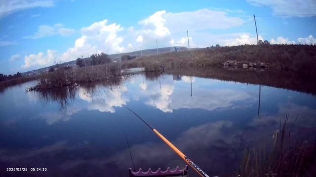Рыбалка в отпуске👍 5 День рыбалки🎣 Сегодня немного порыбачил на Старице🎣 Рыбачил на махалку👍