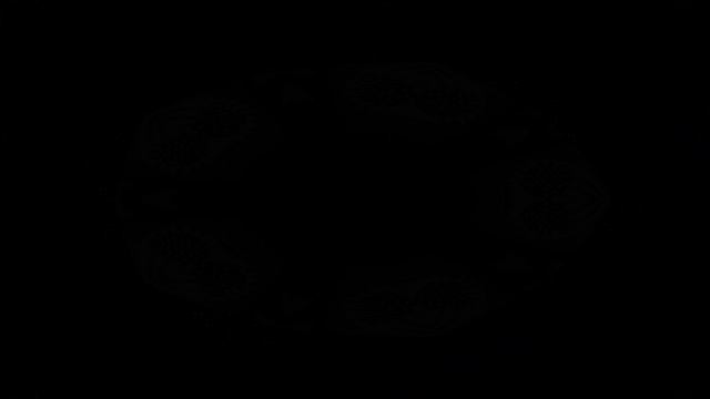 Арахно калейдоскоп