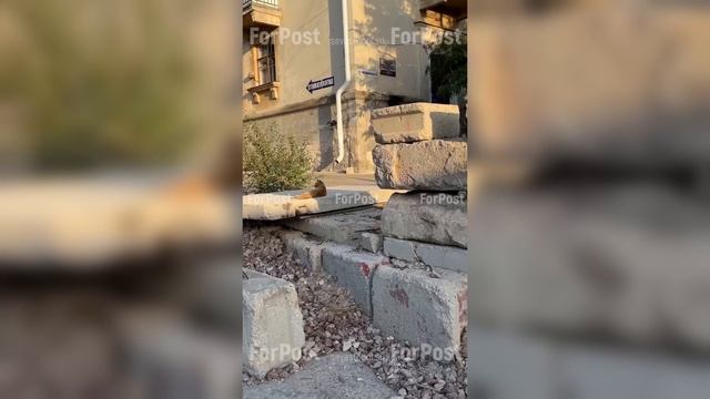 Огромная яма в Севастополе, появившаяся из-за ремонта 5 лет назад